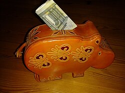 Selbst die kleinste Spende hilft! Vielen Dank :)