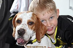 und mit Familienanschluss - genau dafür brauchen wir SIE als Pflegestelle!