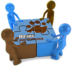 Gemeinsam sind wir stark! Hunde aus Mallorca e.V.