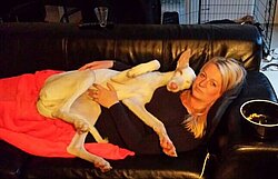 Sofa statt Tierheim-Zwinger...